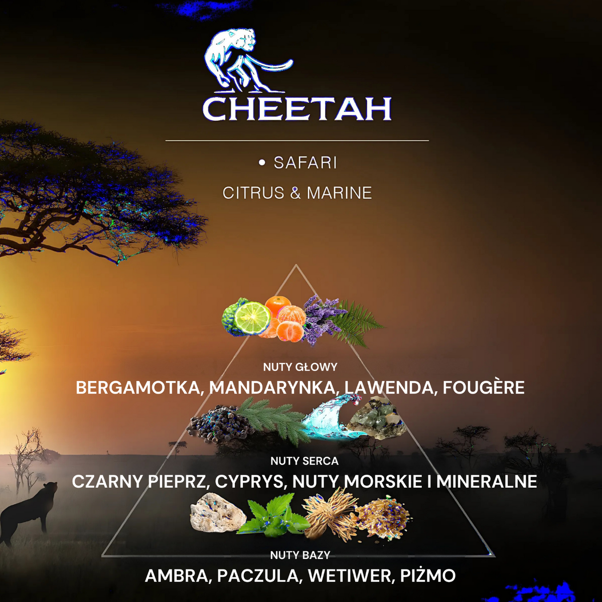 Cheetah Dezodorant Męski  Safari 150ml