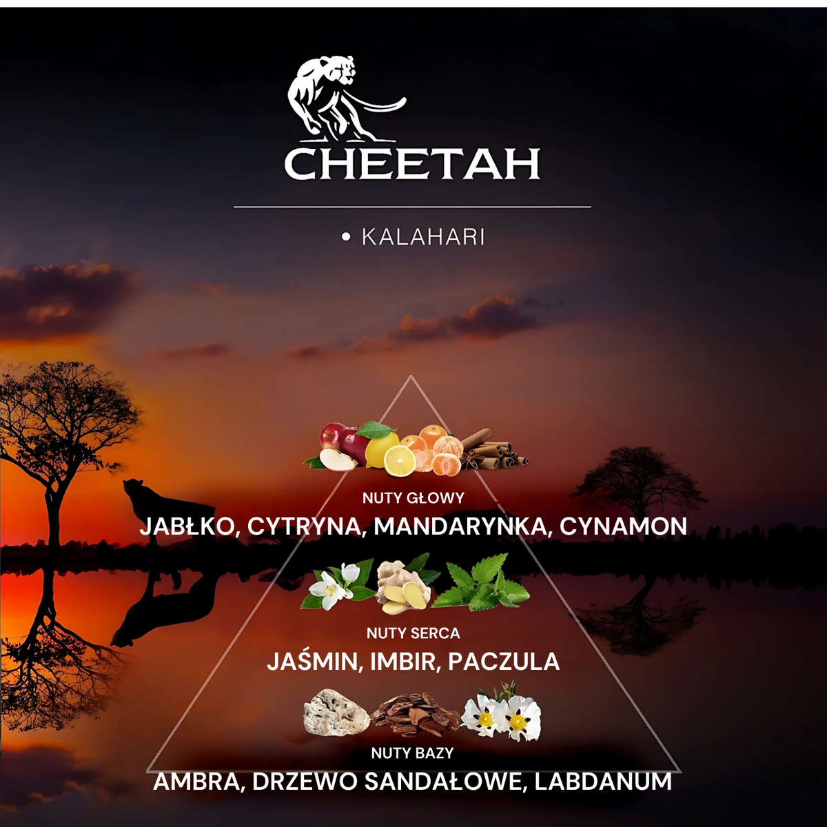 Cheetah Dezodorant Męski Kalahari 150ml