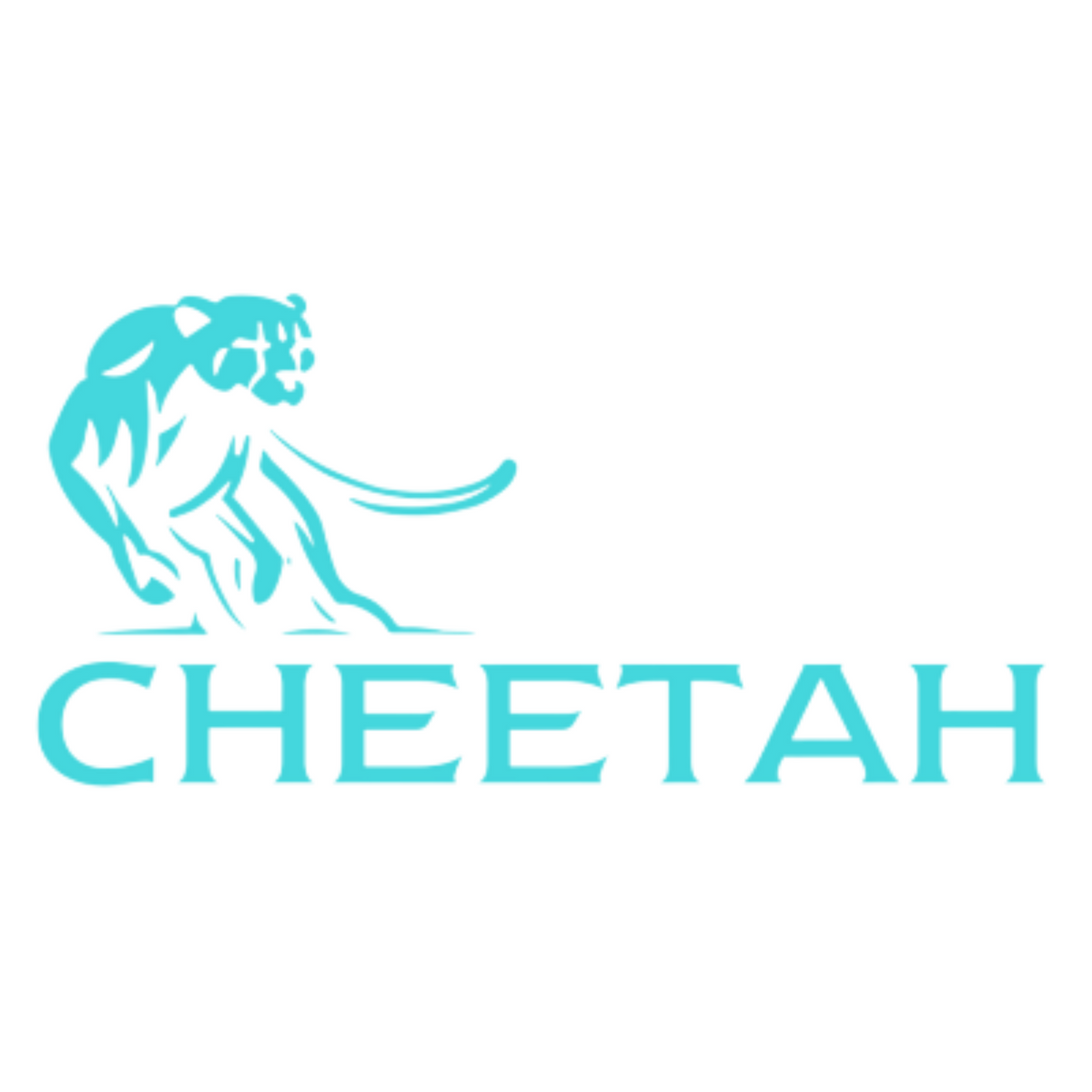 Cheetah Dezodorant Damski Mystic 150ml