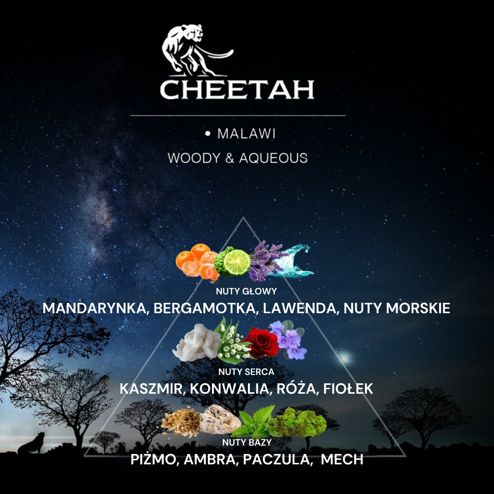 Cheetah Dezodorant Męski Malawi 150ml